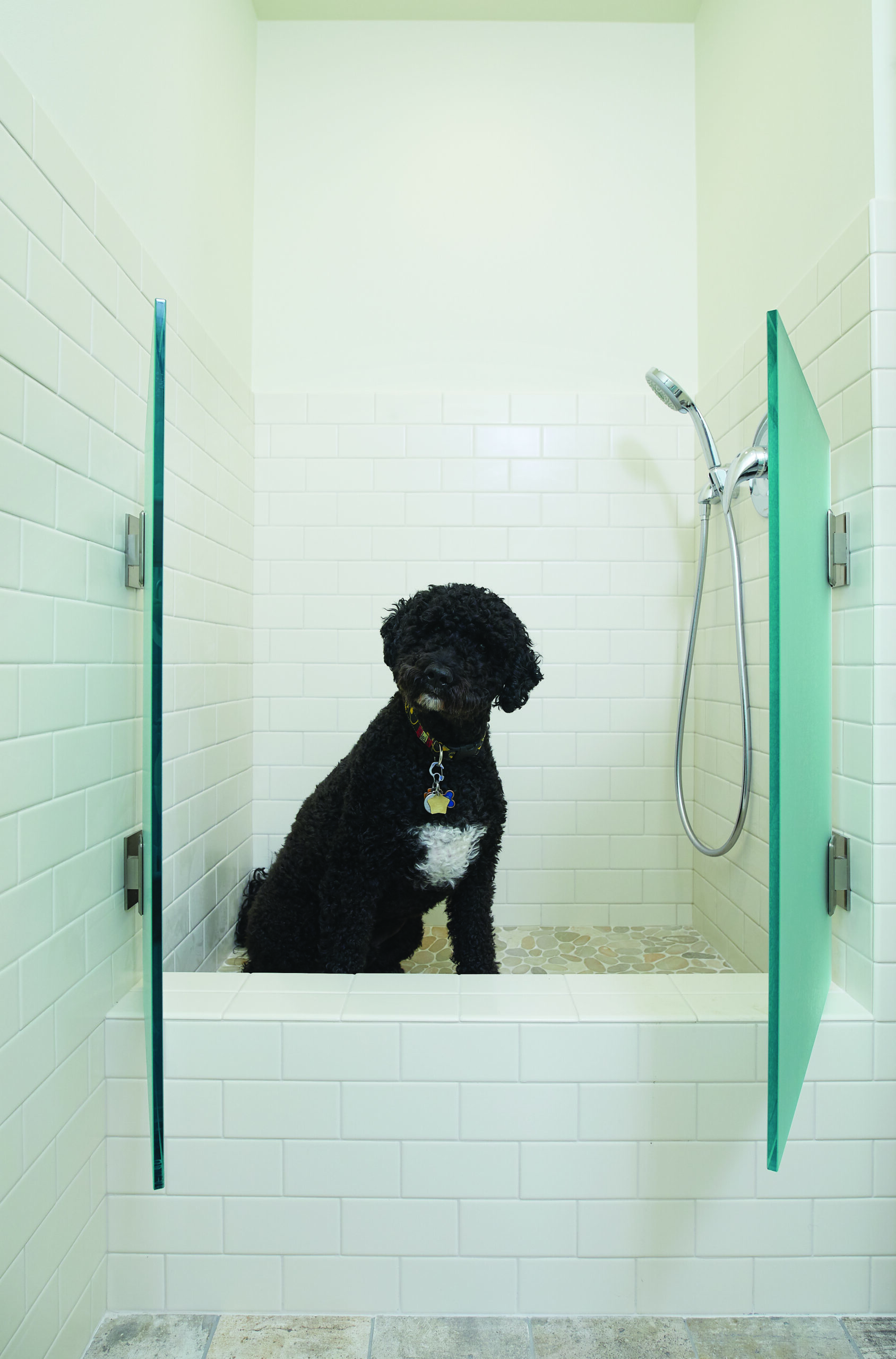 Built-in dog washing shower with tiled walls and glass panels